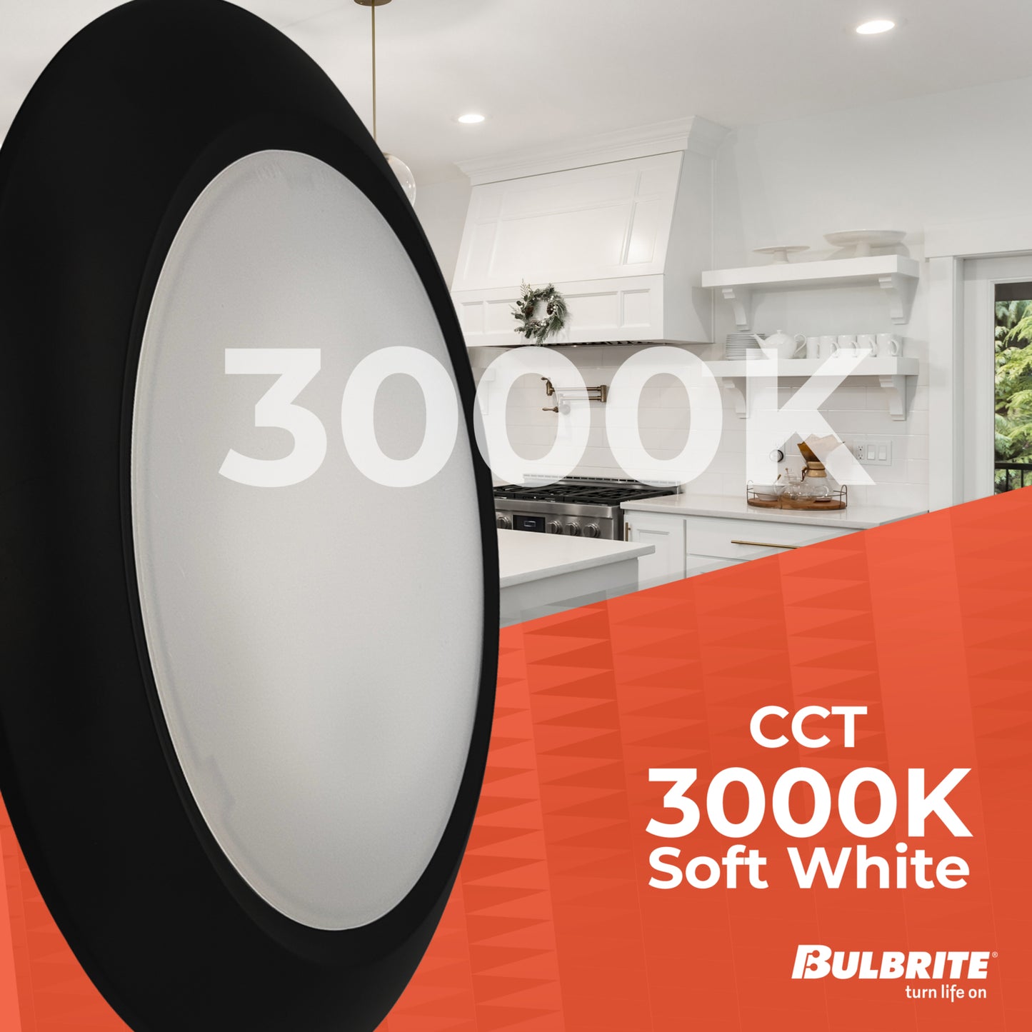 Ceiling Light 773278