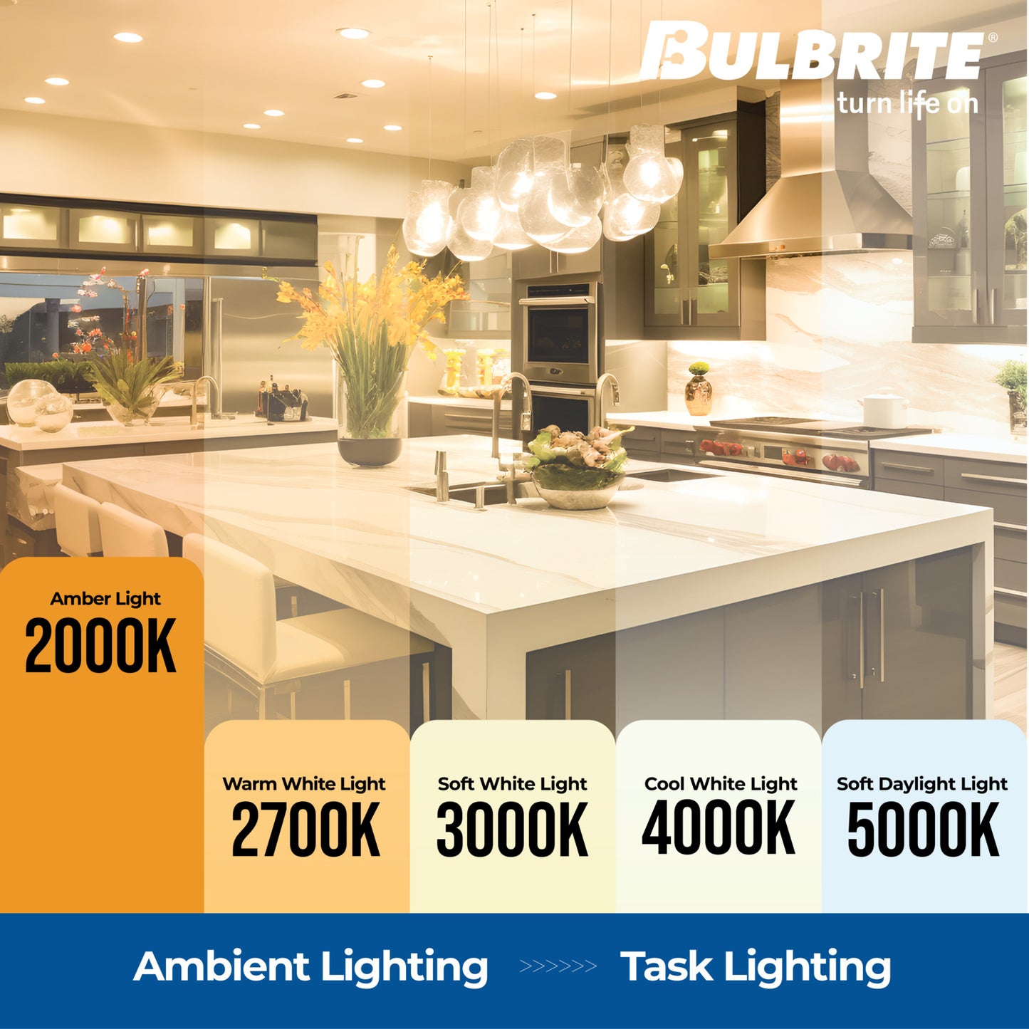 Pendants with LED Bulbs 810168