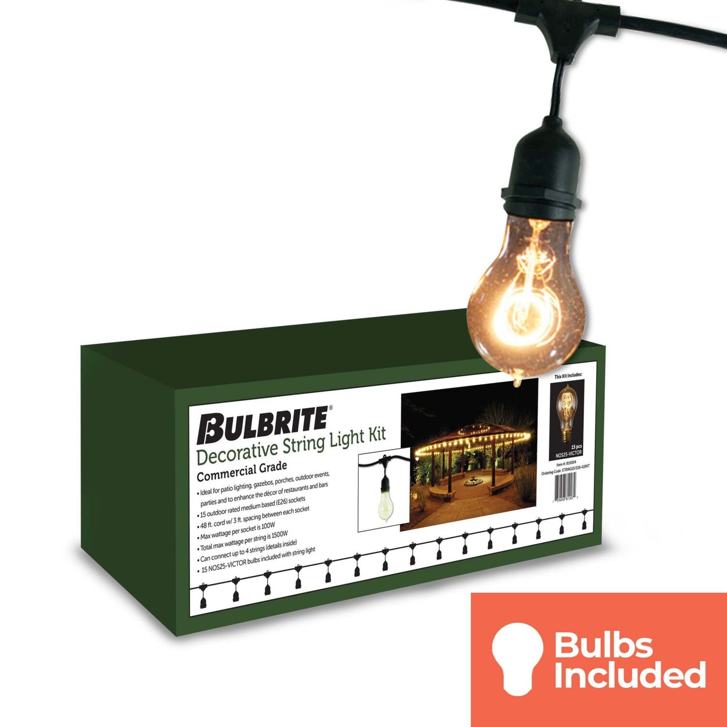 String Lights 810004