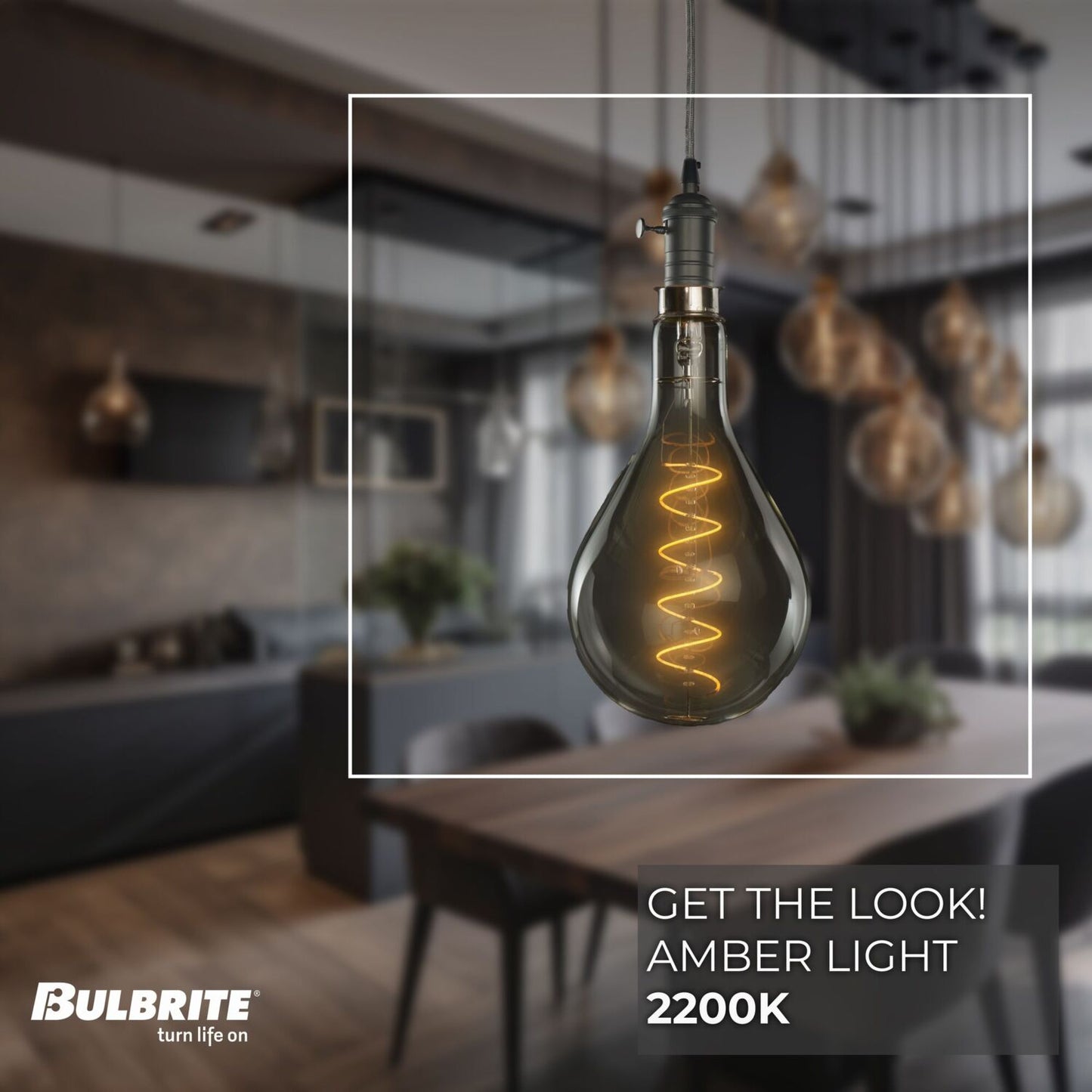 Pendants with LED Bulbs 810165