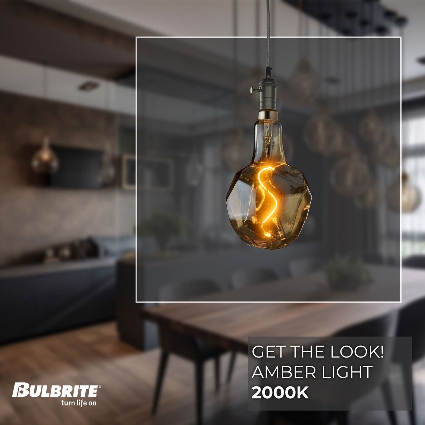 Pendants with LED Bulbs 810167
