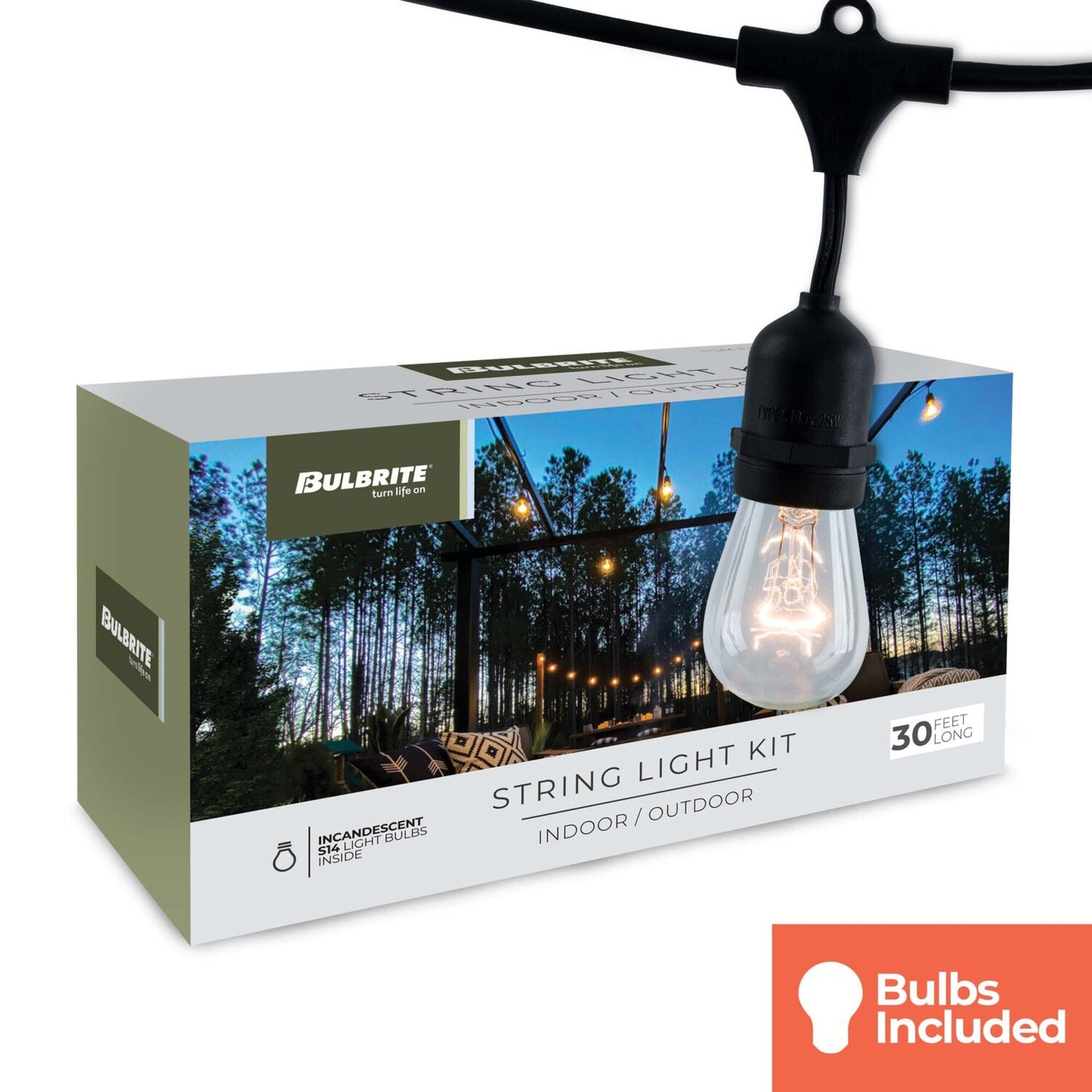String Lights 812312