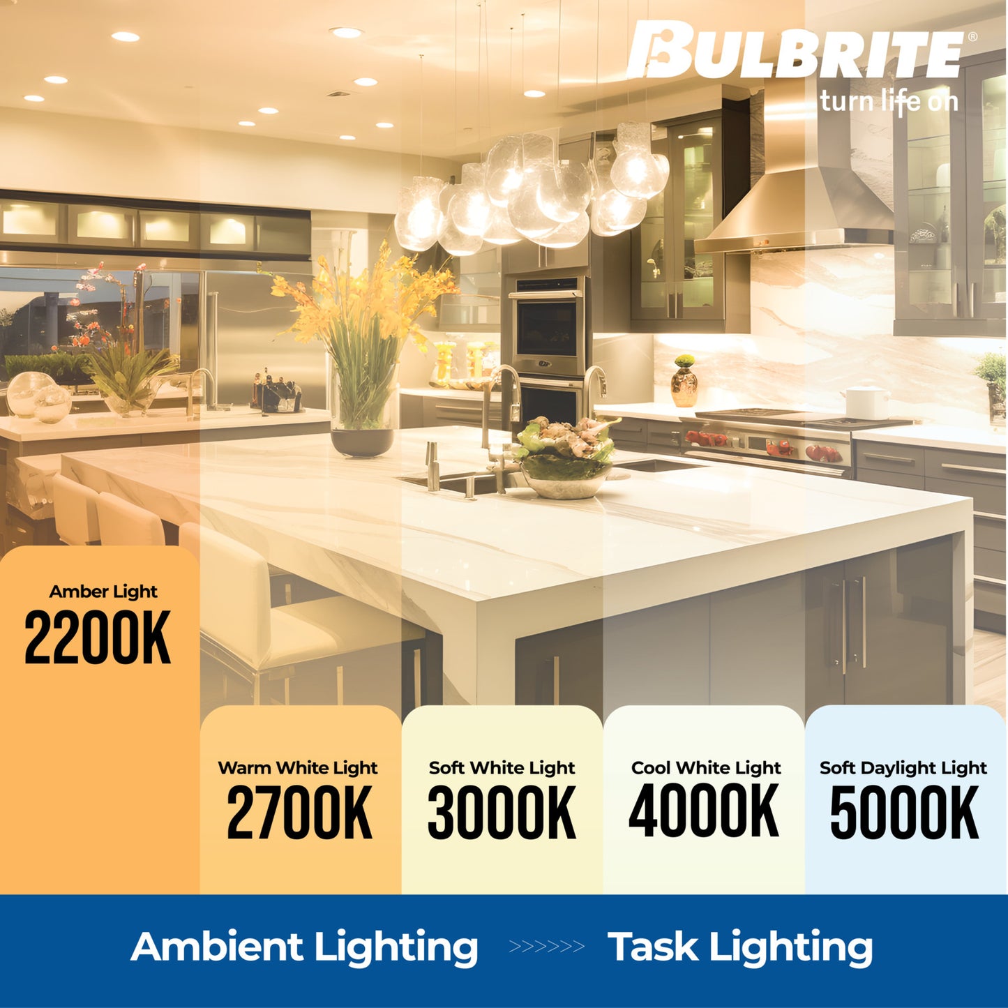 Pendants with LED Bulbs 810174