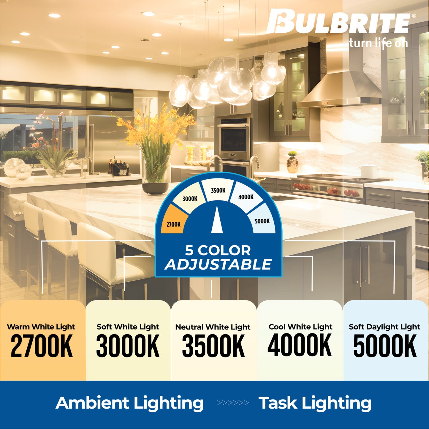 Recessed Downlights 773302