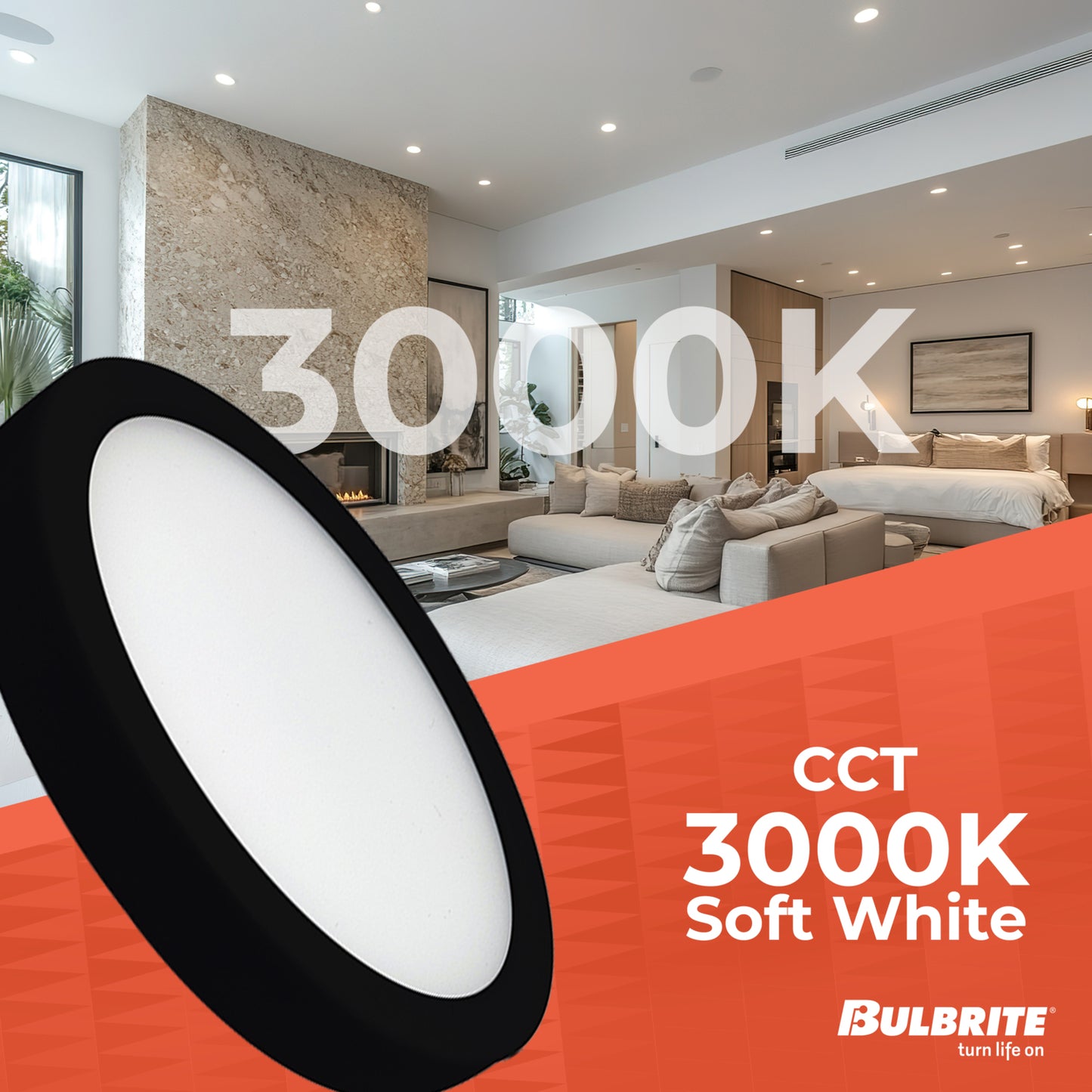 Ceiling Light 773601