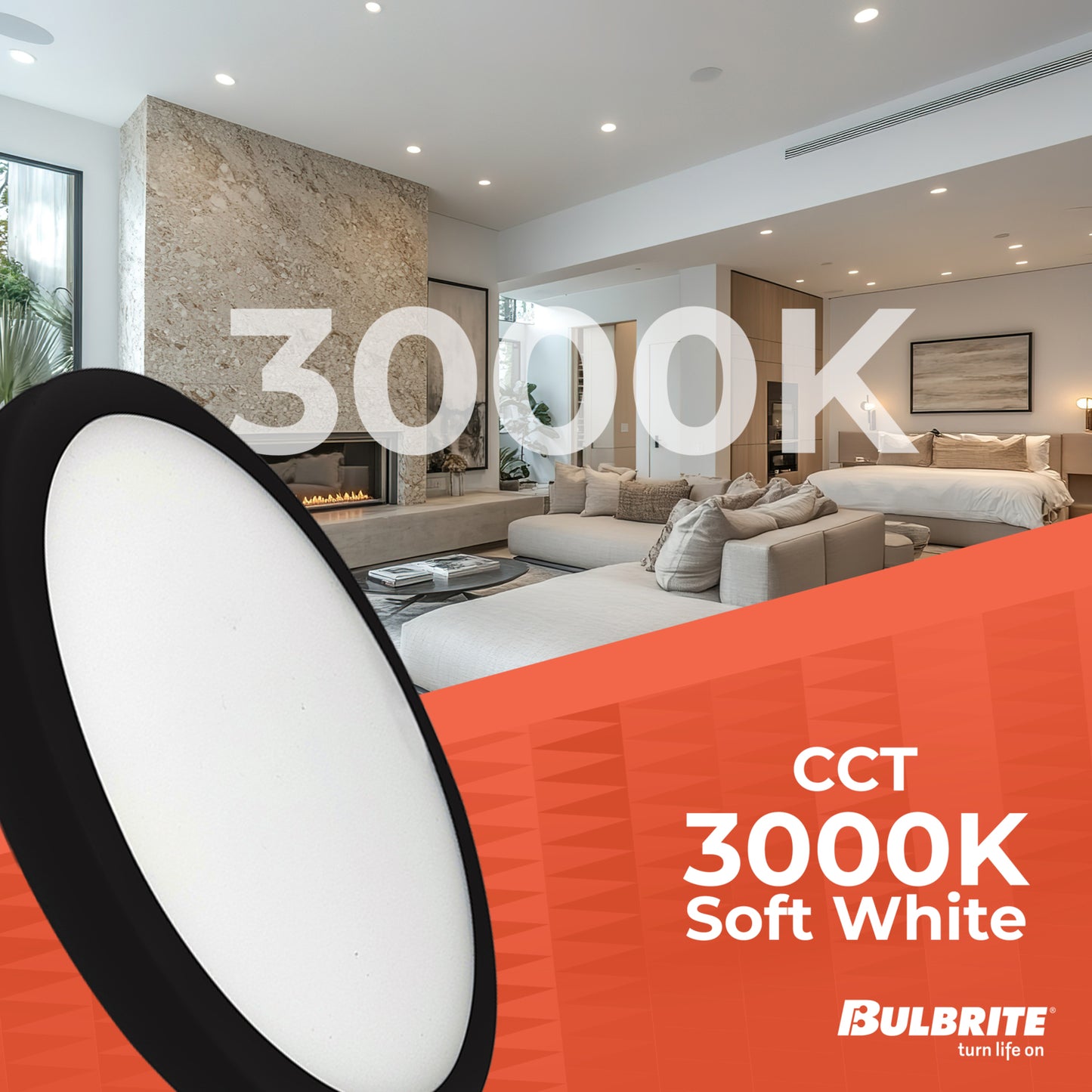 Ceiling Light 773605