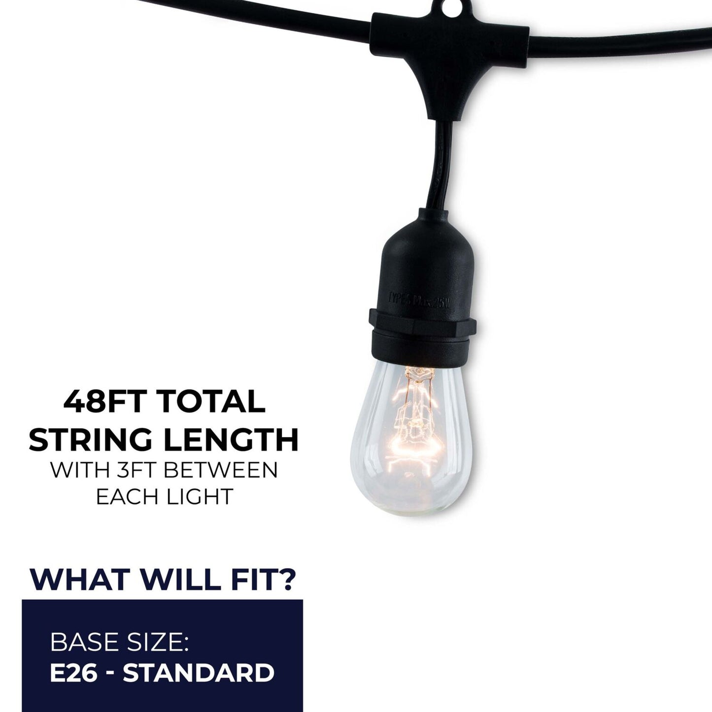 String Lights 810002