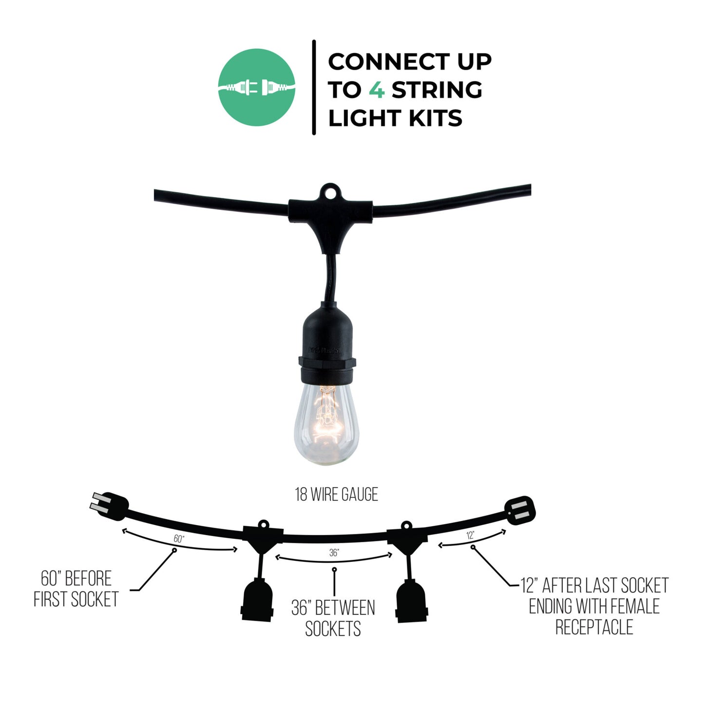 String Lights 810002
