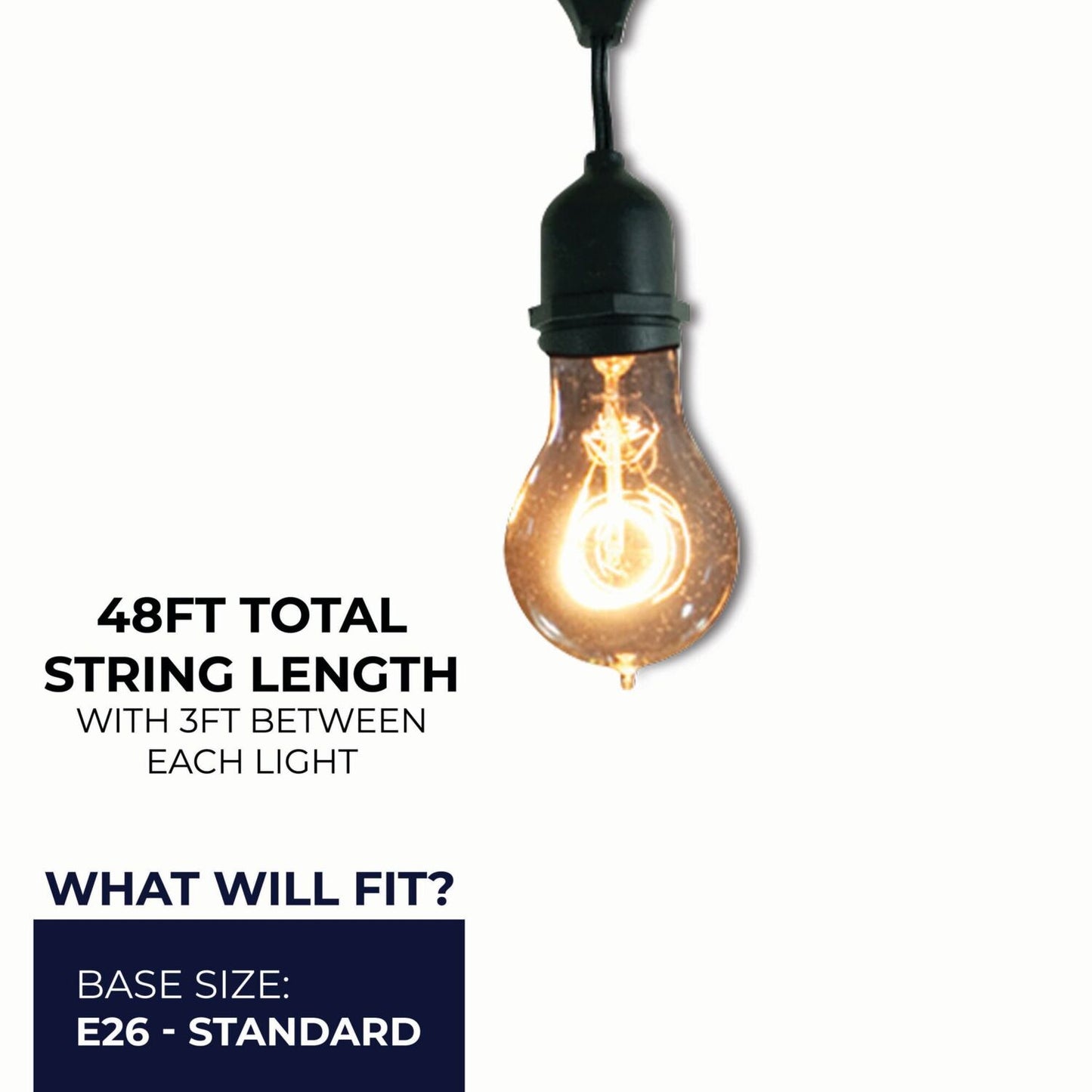 String Lights 810004