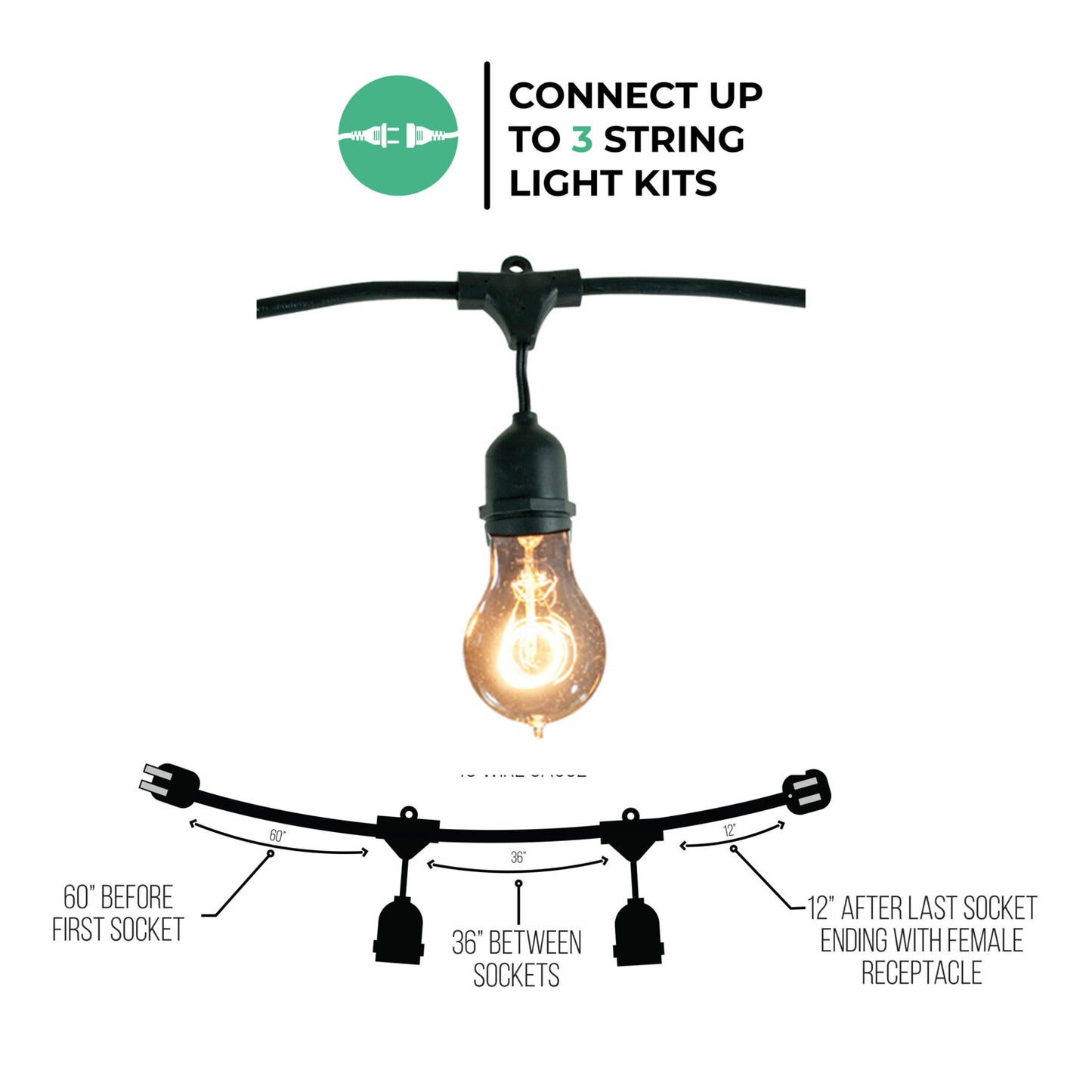 String Lights 810004