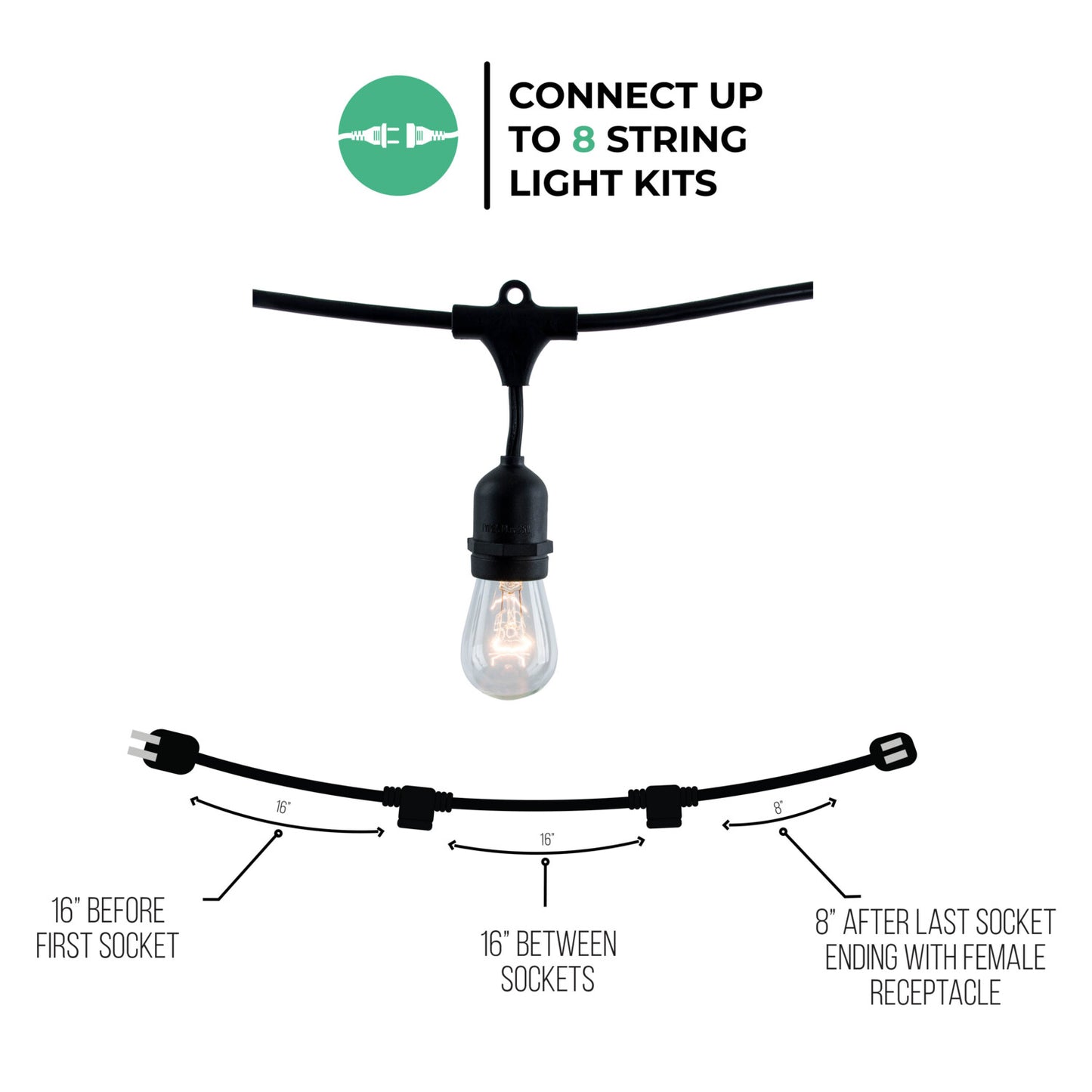 String Lights 810006