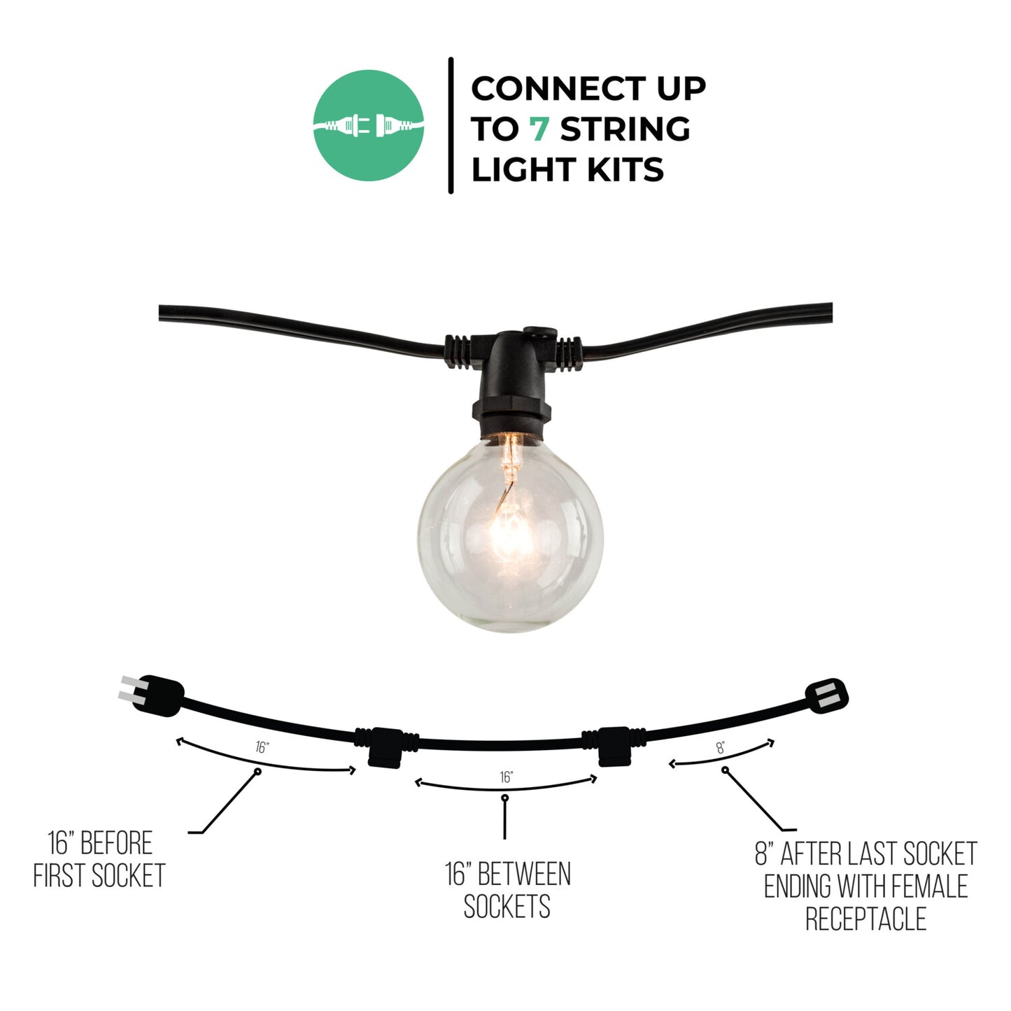 String Lights 810054