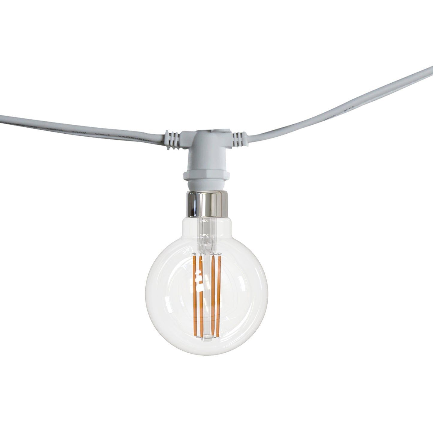 String Lights 810130