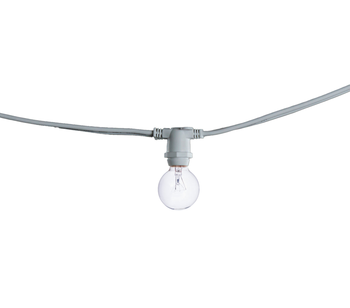 String Lights 810133