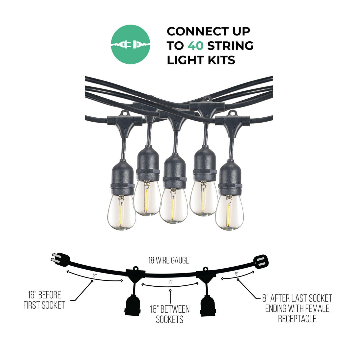 String Lights 812143