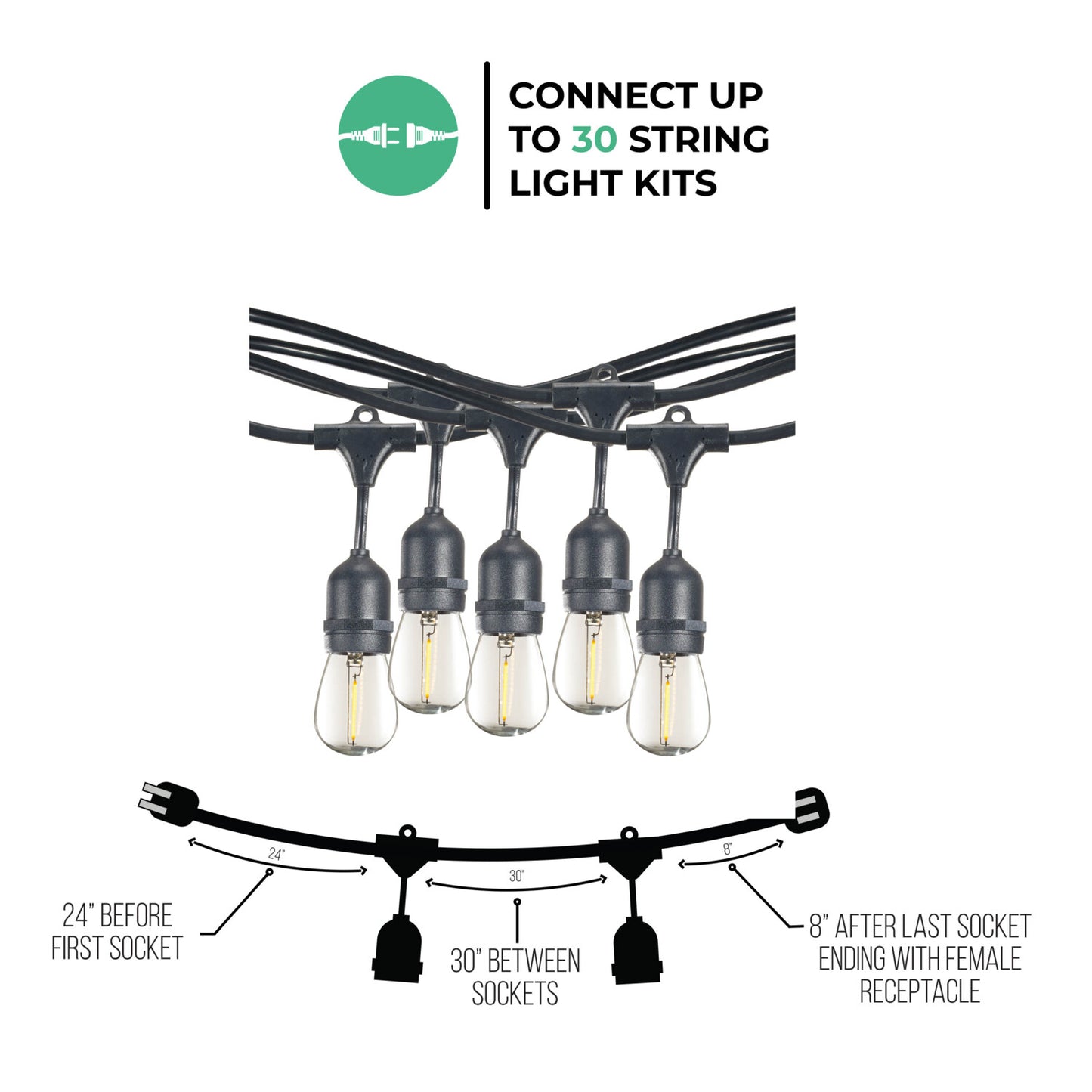 String Lights 812313