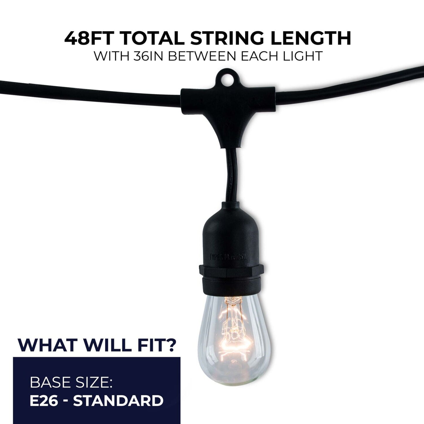 String Lights 812482