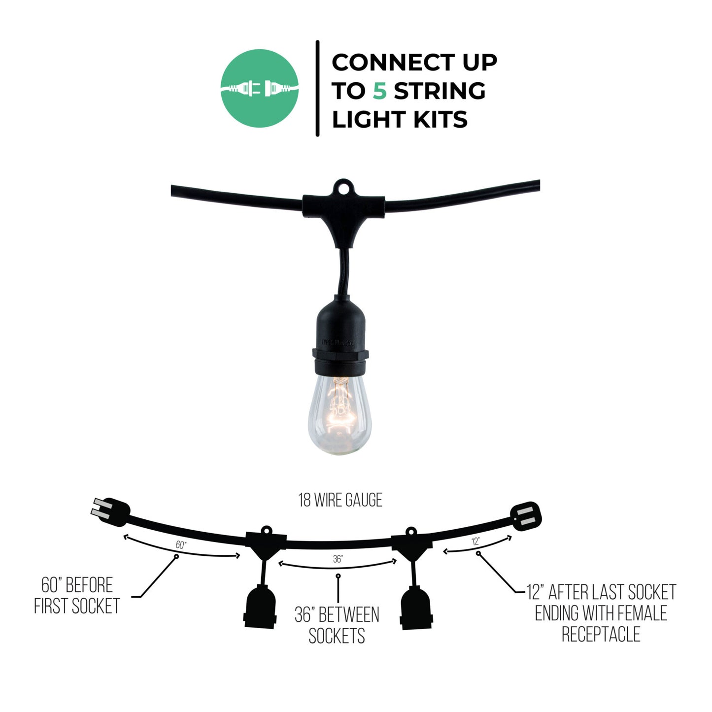 String Lights 812482