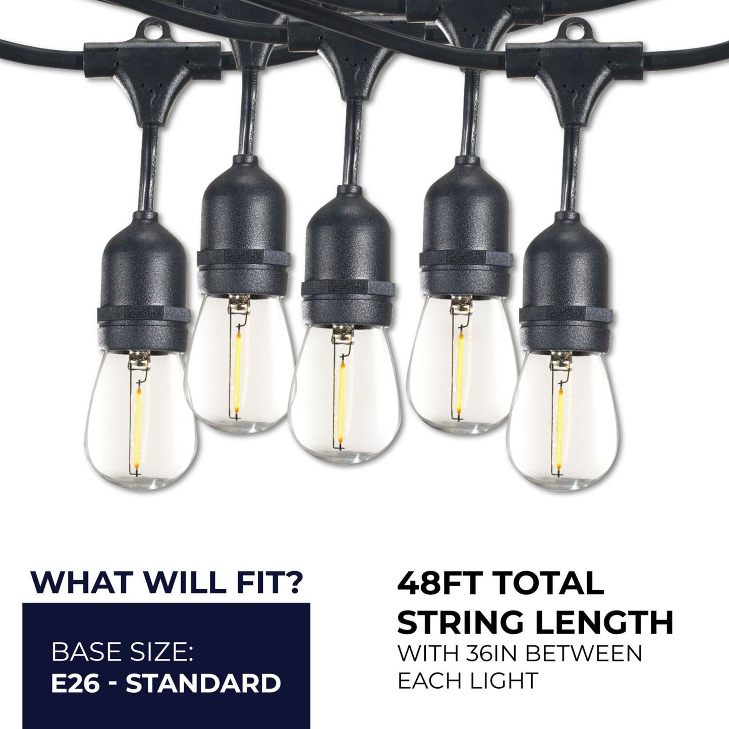 String Lights 812483