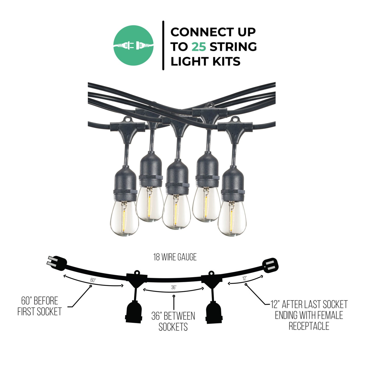 String Lights 812483