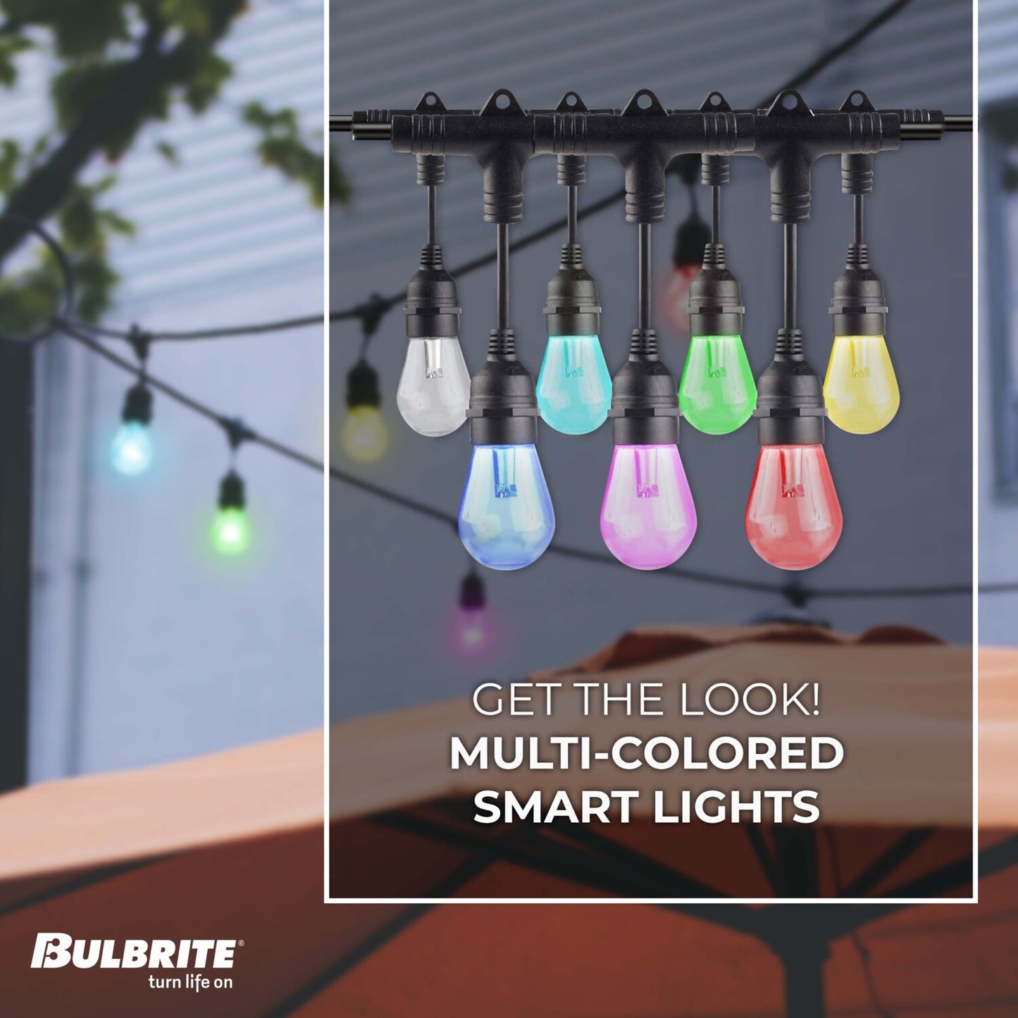 String Lights 814361