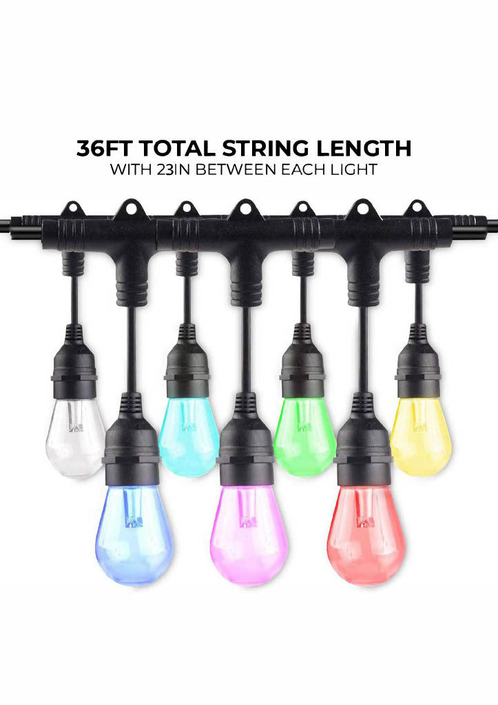 String Lights 814361