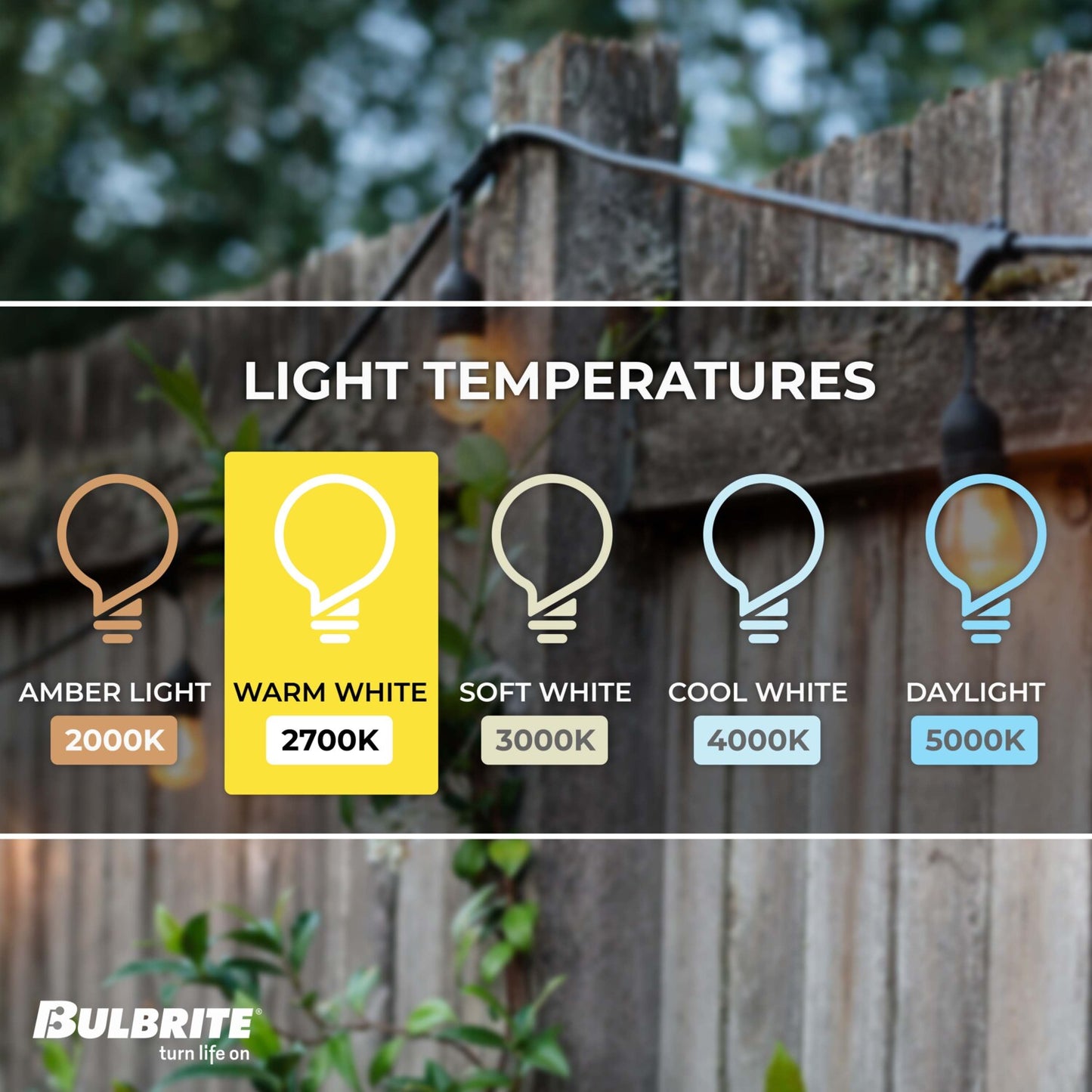 String Lights 812483