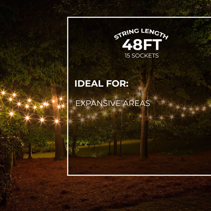 String Lights 812480