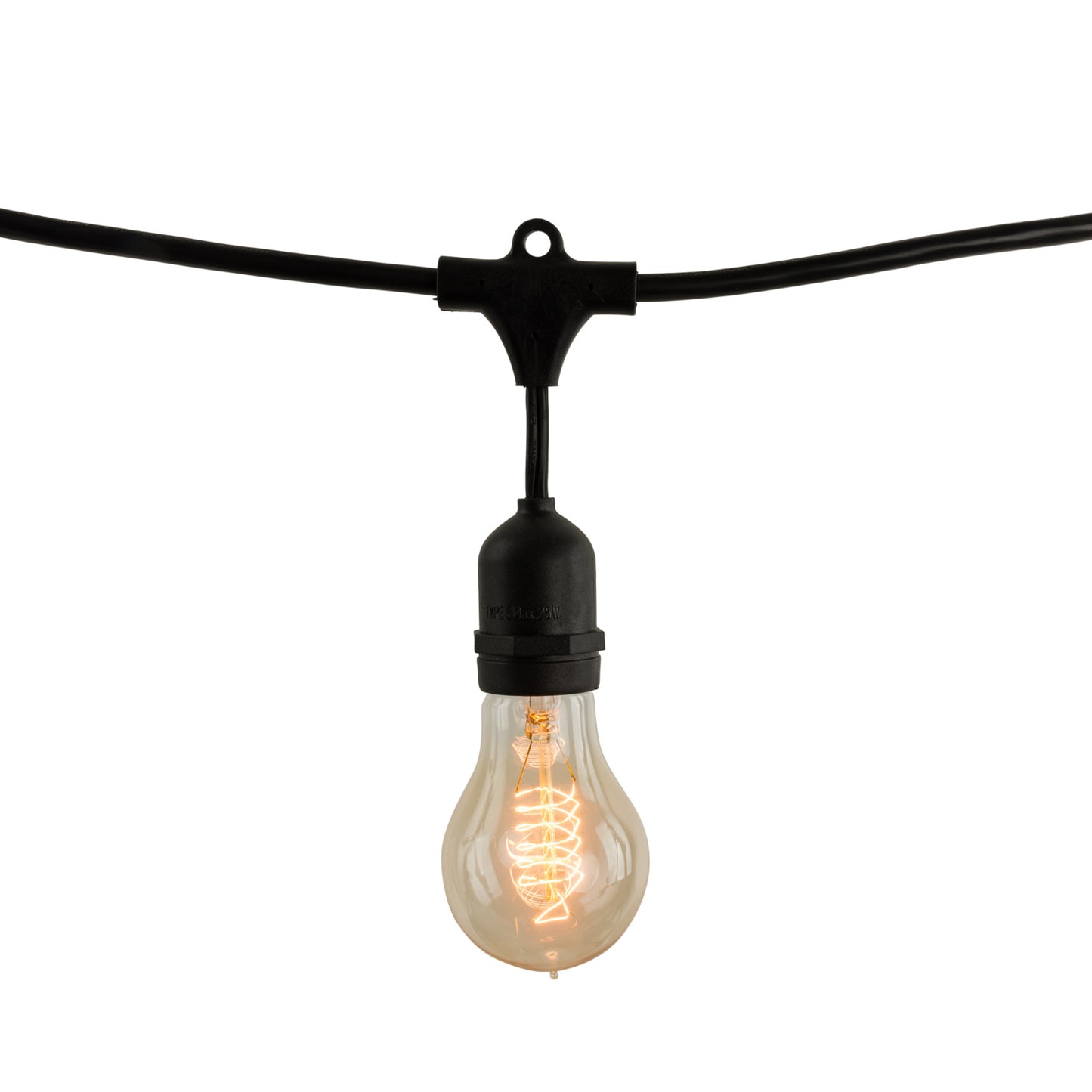 String Lights 810004