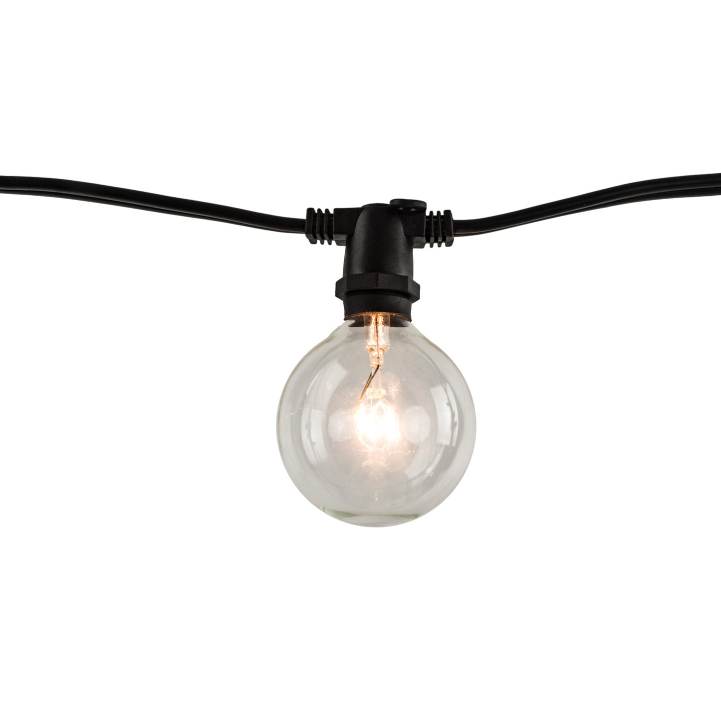 String Lights 810054