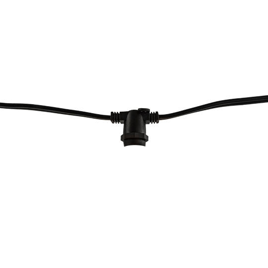 String Lights 812480
