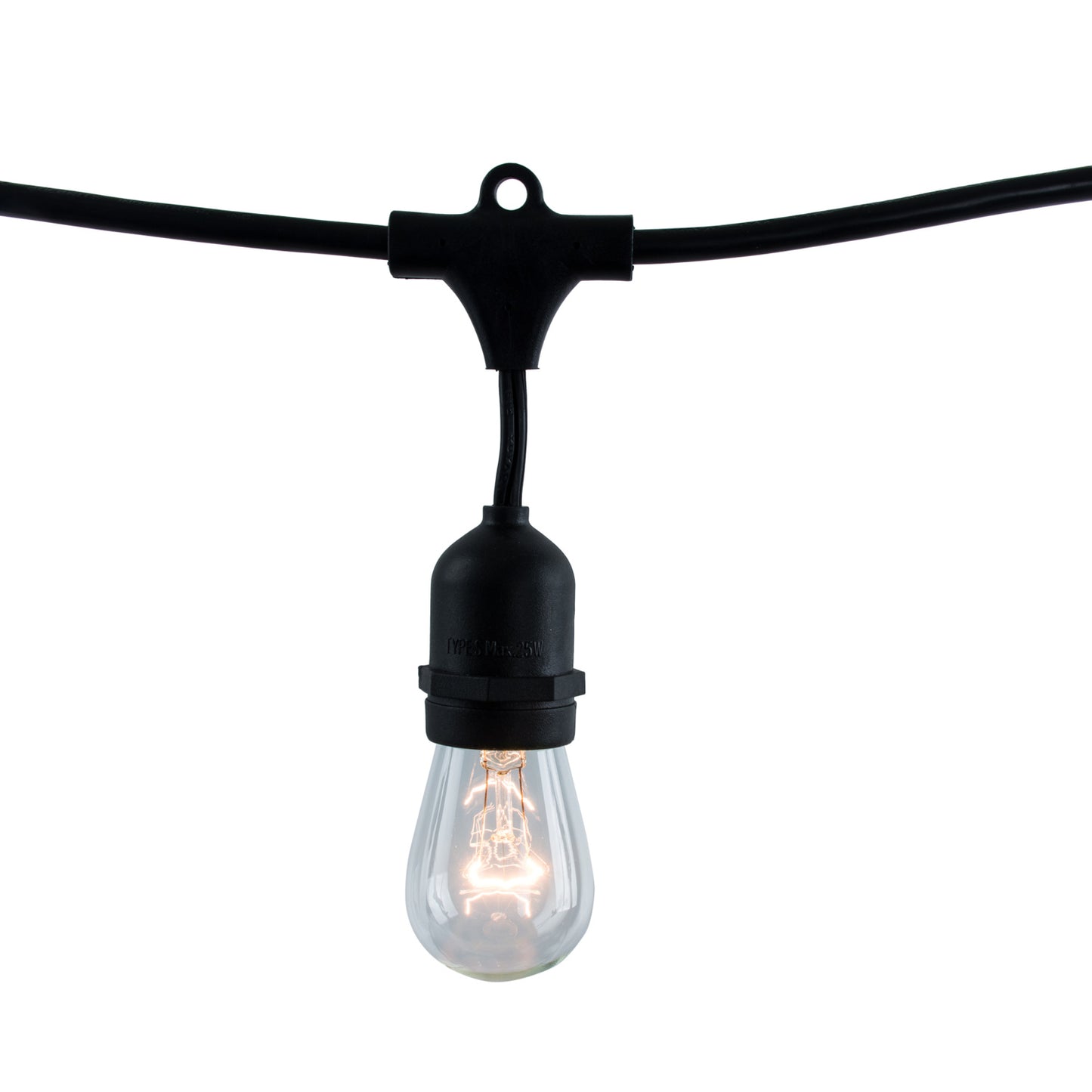 String Lights 812482