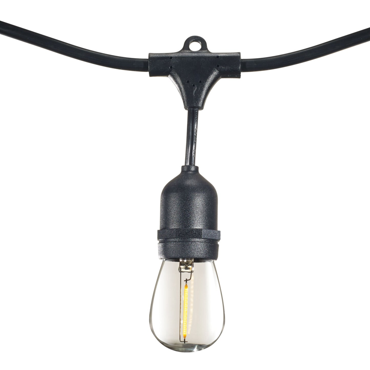 String Lights 812313