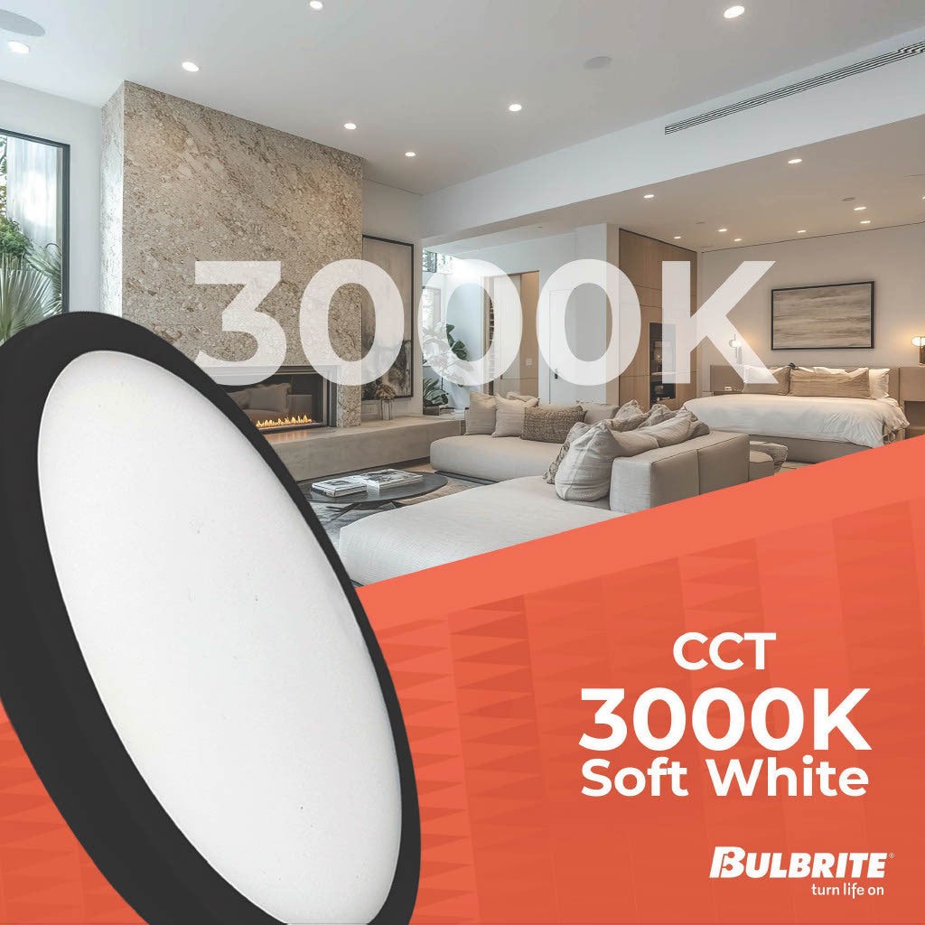 Ceiling Light 773621