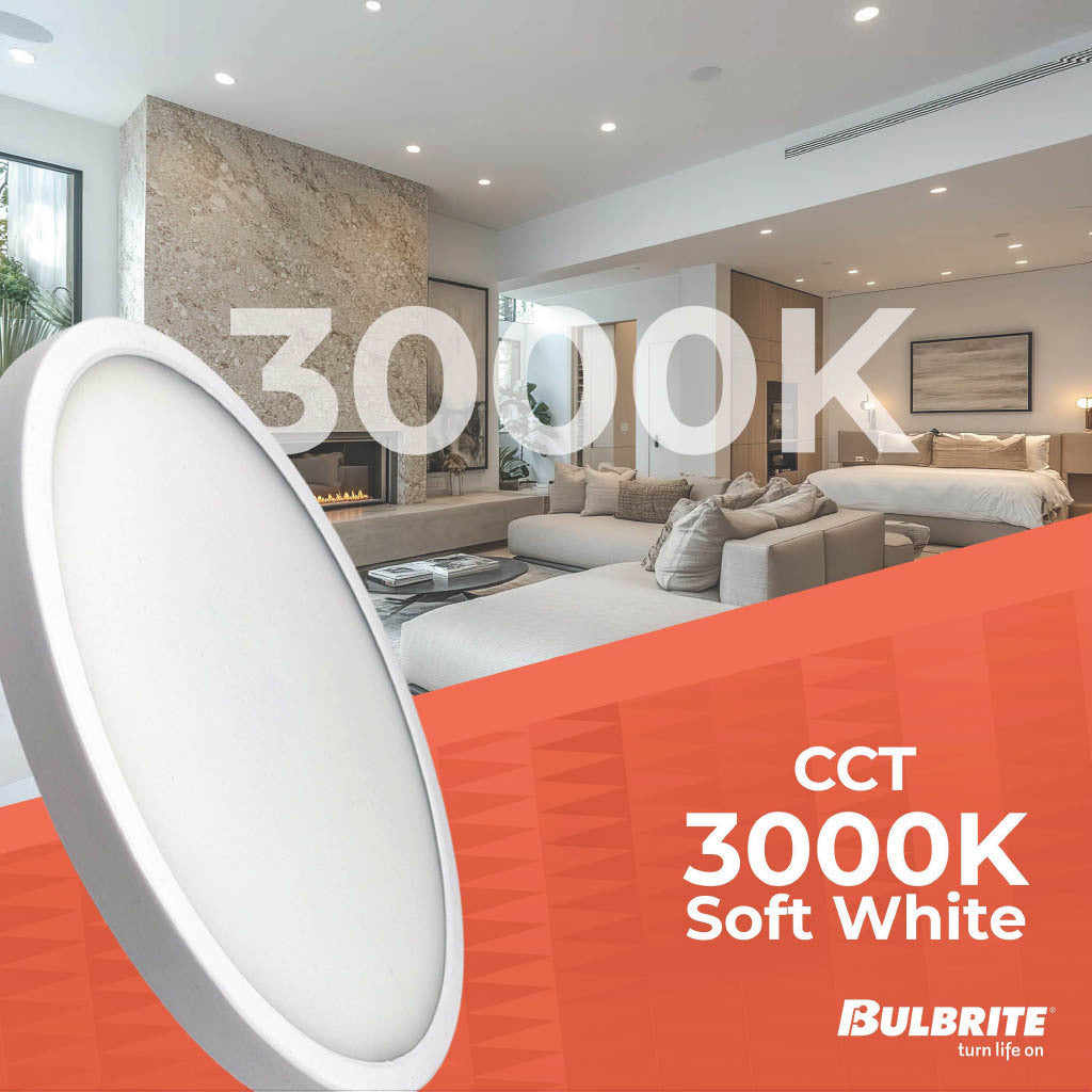 Ceiling Light 773620