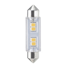 Specialty Minis 12V/24V 770612