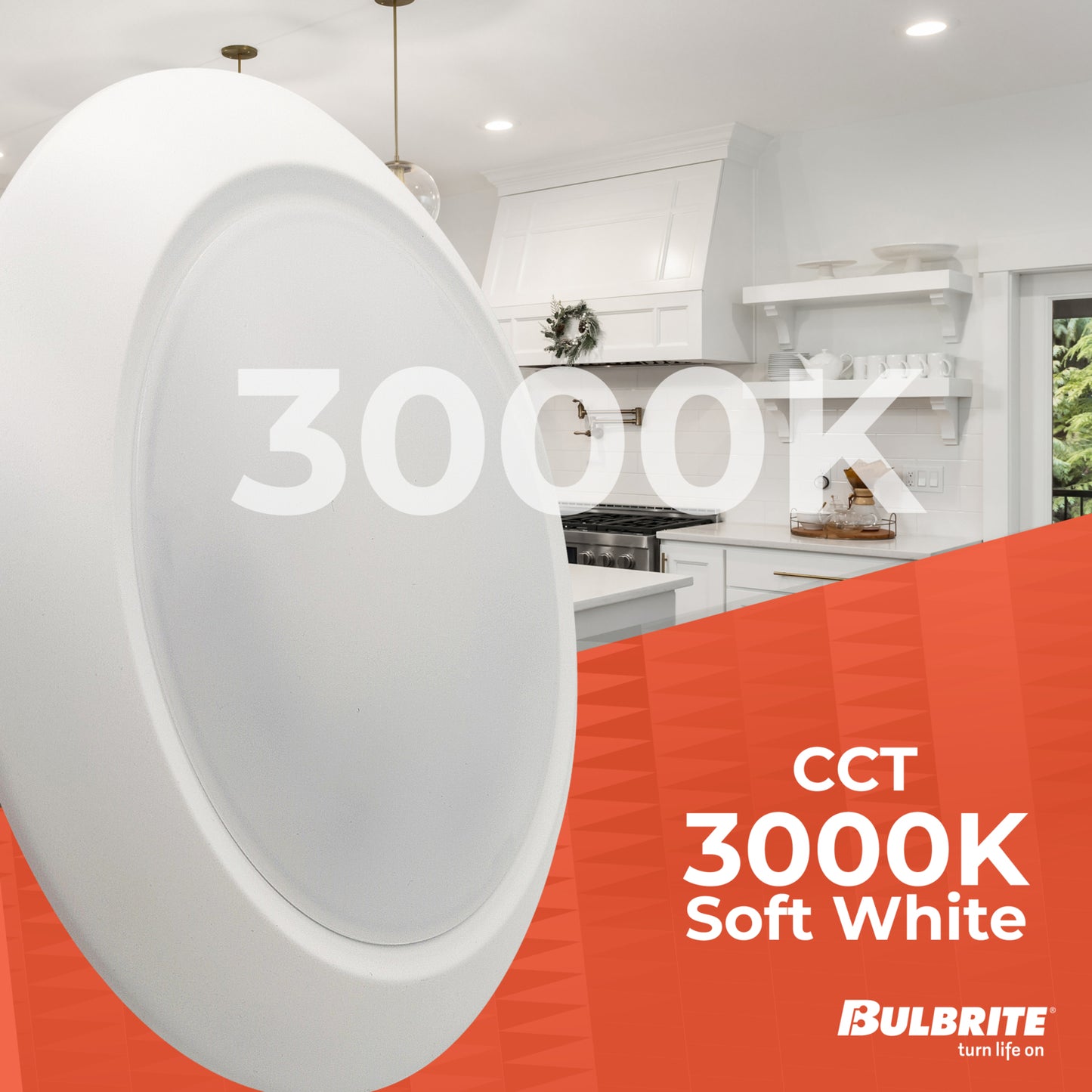 Ceiling Light 773277