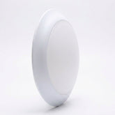 Ceiling Light 773289