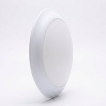 Ceiling Light 773289