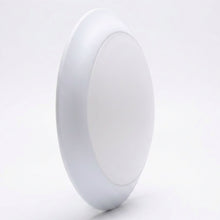 Ceiling Light 773292