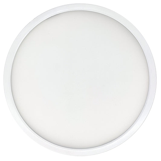 Ceiling Light 773604