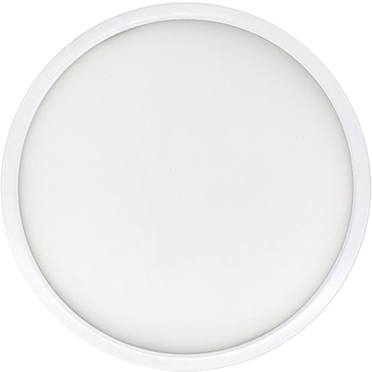 Ceiling Light 773608