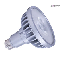 SORAA Vivid 777707
