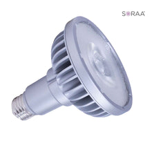 SORAA Vivid 777700