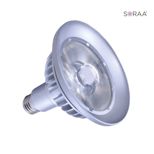 SORAA Vivid 777763