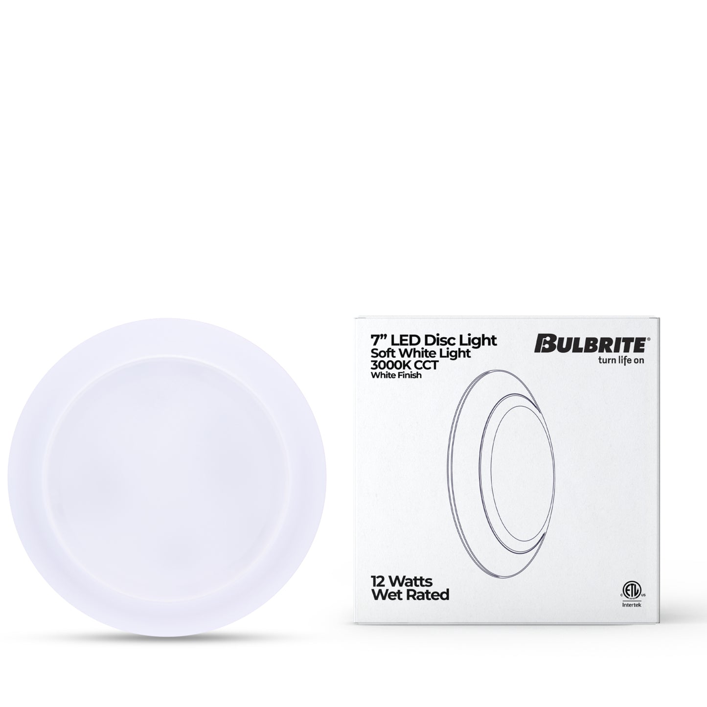 Ceiling Light 773286