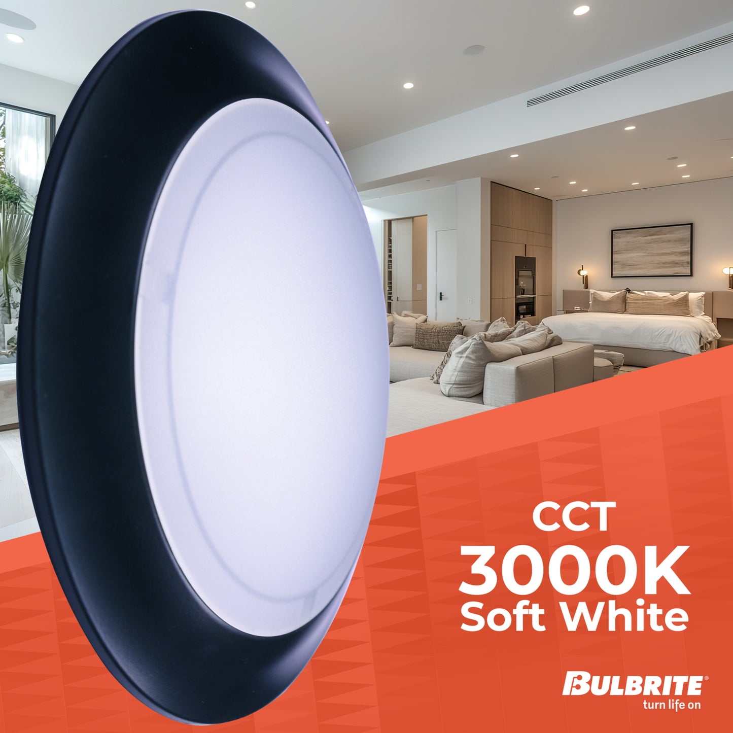 Ceiling Light 773287