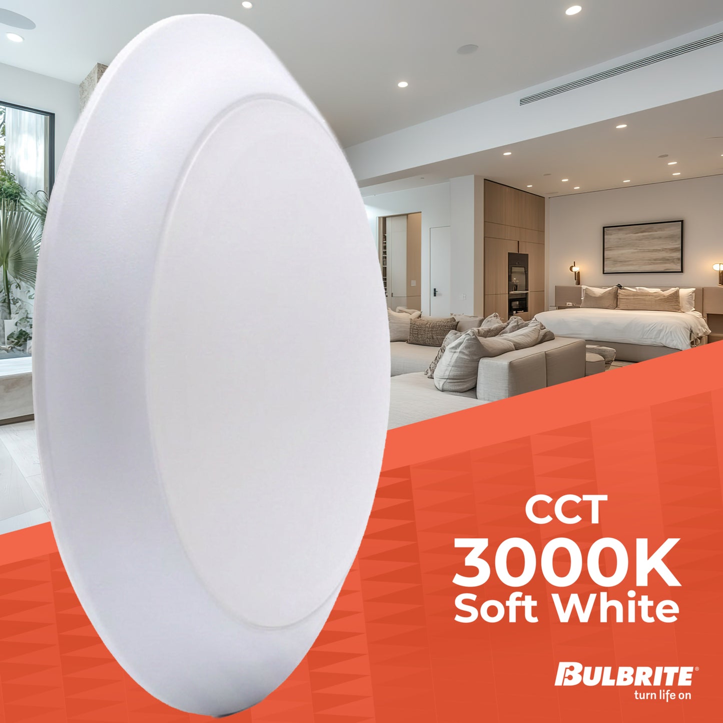 Ceiling Light 773286