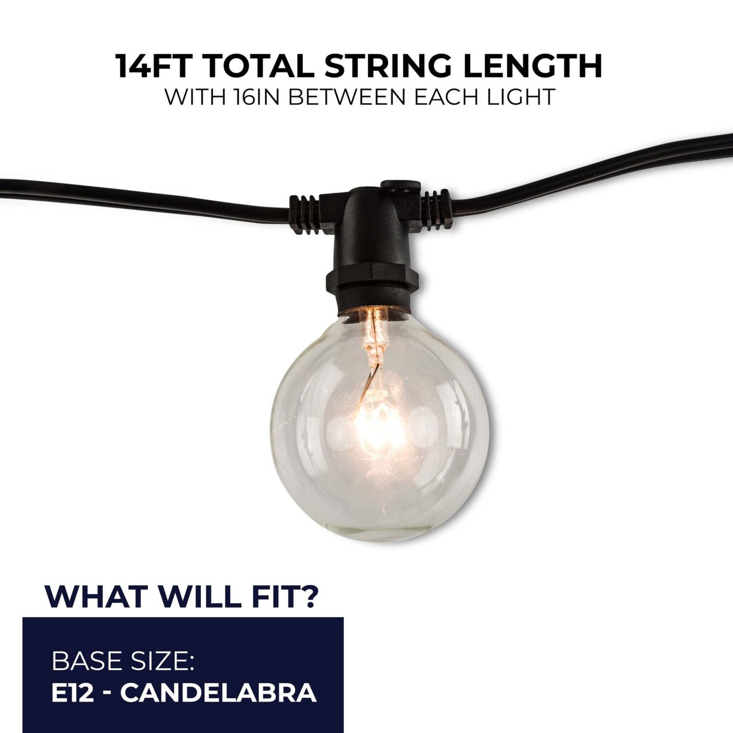 String Lights 810054