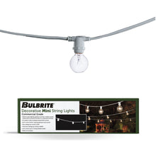 String Lights 810133
